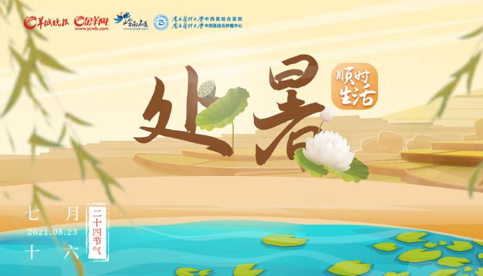 顺时生活｜处暑渐凉，润肺养胃